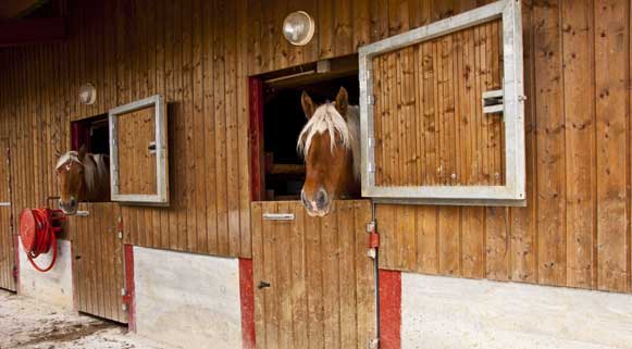 Les attelages Aroules - Malpas, Doubs, Chevaux, les 2 lacs st point et remoray